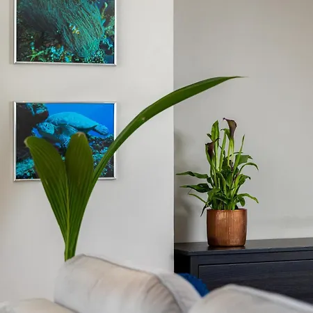 Wave Be Castle Apartment