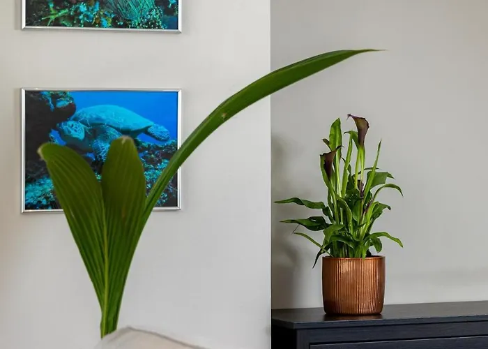 Wave Be Castle Apartmán